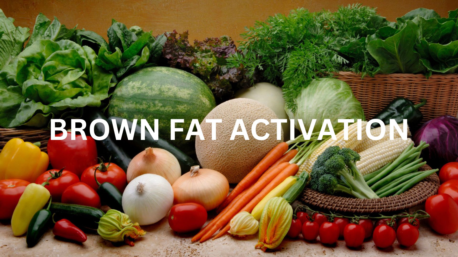 brown-fat-activation-to-lose-weight